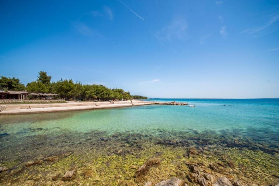 Apartman Bozica Vir Εξωτερικό φωτογραφία